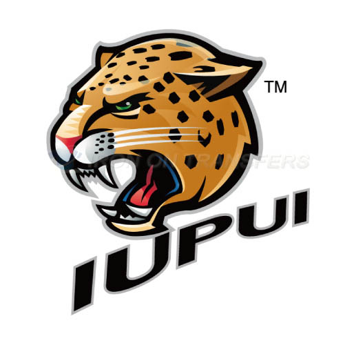 IUPUI Jaguars Iron-on Stickers (Heat Transfers)NO.4676